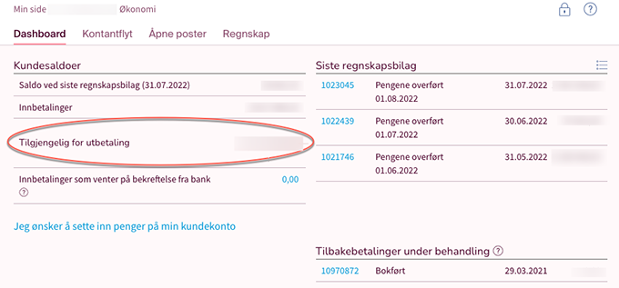 økonomi-dashboard-økonomidashboard